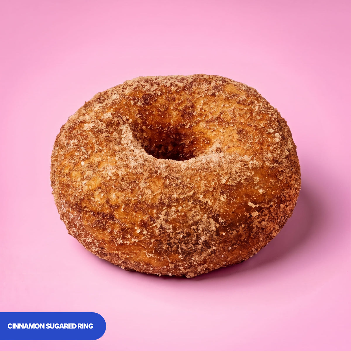 Gluten free vegan baked ring doughnut rolled in cinnamon sugar